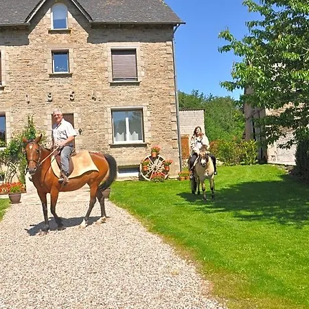 Capel Bed & Breakfast