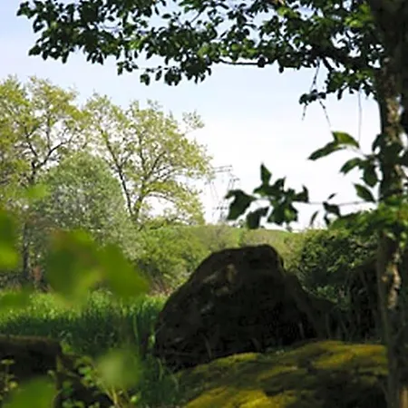 Bed & Breakfast Capel Salles-Curan